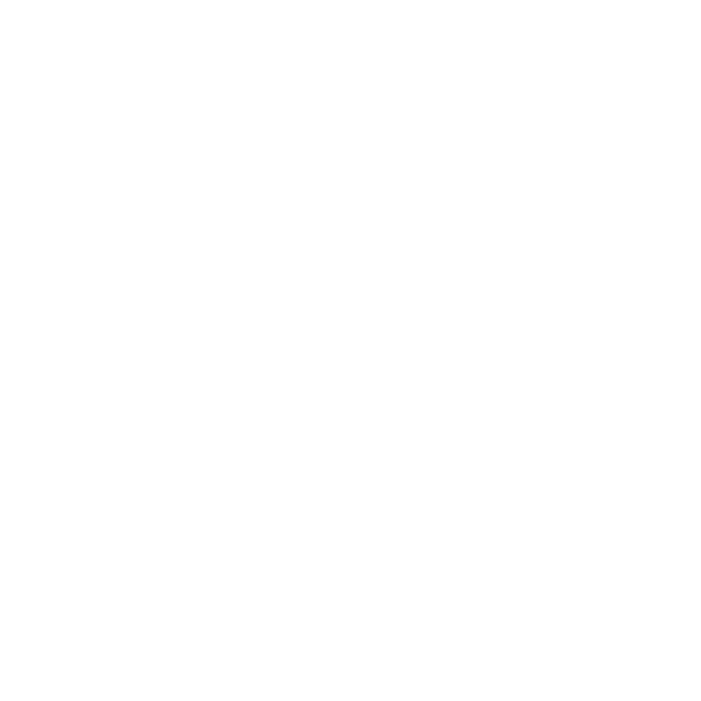 RSX Logo